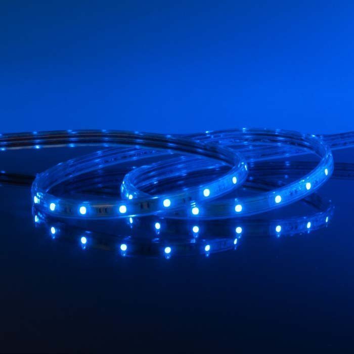 Ленты LED Набор лента светодиодная 220V 4,4W 60Led 3528 IP65 синий, 10 м (LSTR001 220V 4,4W IP65) фабрики Elektrostandard