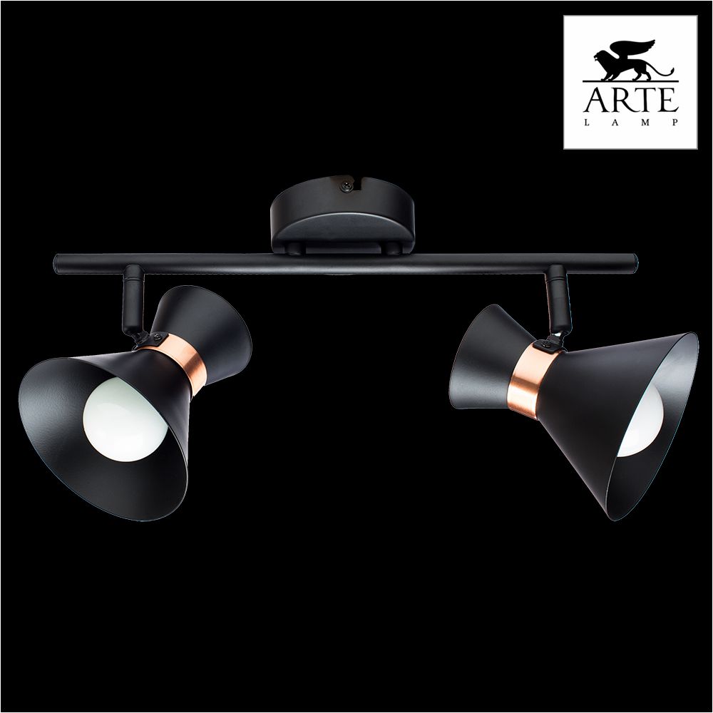 Спот Baltimore a1406ap-2bk. Arte Lamp Baltimore a1406ap-2. Спот Arte Lamp a1406ap-1bk. Arte Lamp - a1406ap-1bk.