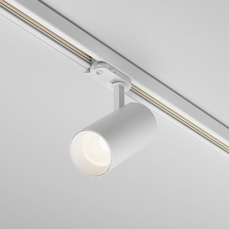 Светильники TR197-3-20WCCT-M-W фабрики Maytoni